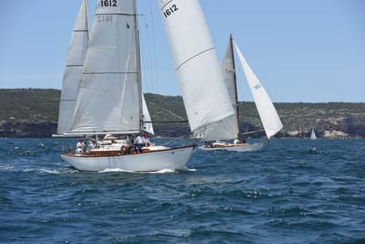 DSC_0244.JPG