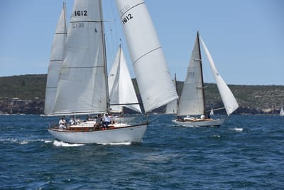 DSC_0245.JPG