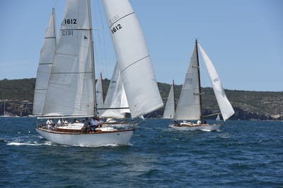 DSC_0246.JPG