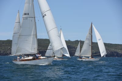 DSC_0247.JPG