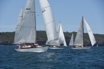 DSC_0248.JPG