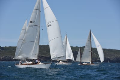 DSC_0249.JPG