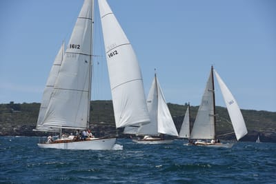 DSC_0250.JPG