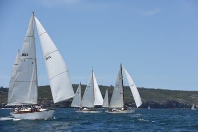 DSC_0252.JPG