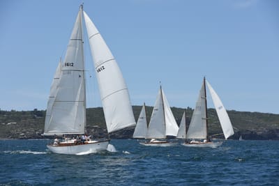 DSC_0253.JPG