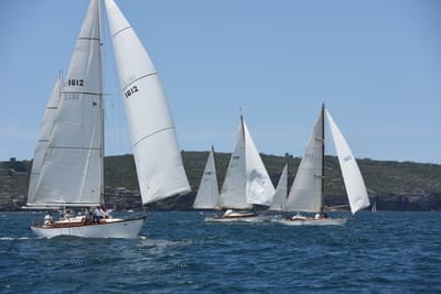 DSC_0254.JPG