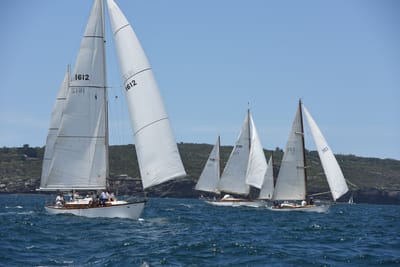 DSC_0255.JPG