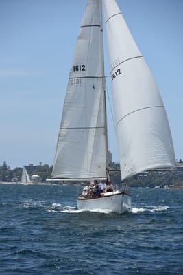 DSC_0258.JPG