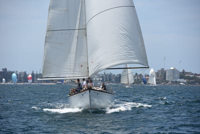 DSC_0260.JPG