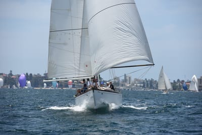 DSC_0262.JPG