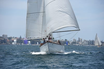 DSC_0263.JPG