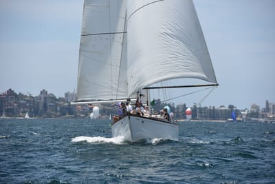 DSC_0264.JPG