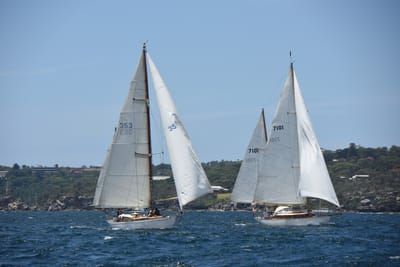 DSC_0266.JPG