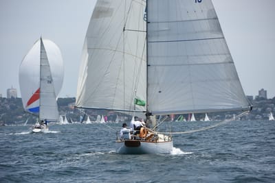 DSC_0269.JPG