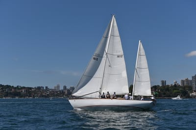 DSC_7459.JPG