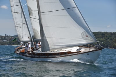 DSC_7461.JPG