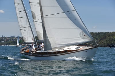 DSC_7462.JPG