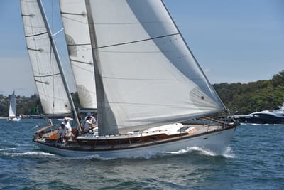 DSC_7463.JPG