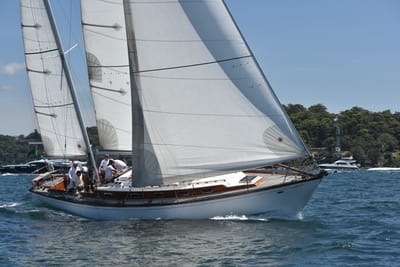 DSC_7464.JPG