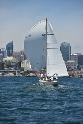 DSC_7470.JPG