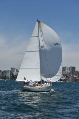 DSC_7471.JPG
