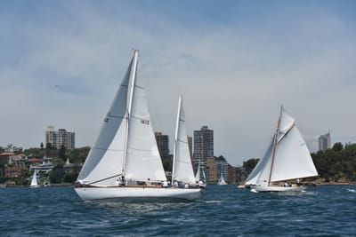 DSC_7473.JPG