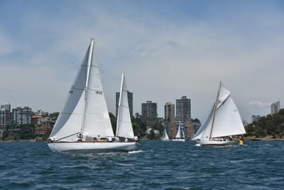 DSC_7474.JPG