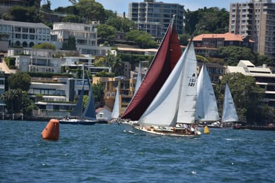 DSC_7475.JPG