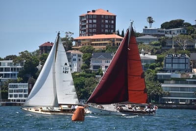 DSC_7476.JPG