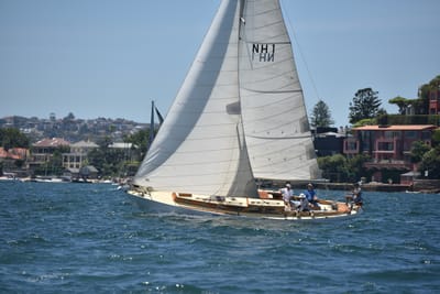 DSC_7478.JPG