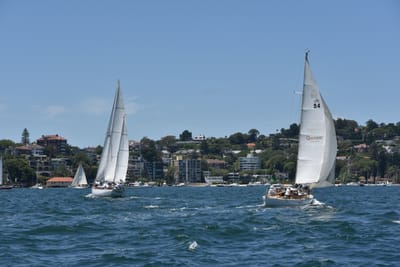 DSC_7479.JPG