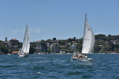 DSC_7480.JPG