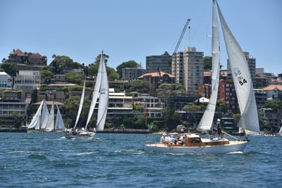 DSC_7481.JPG