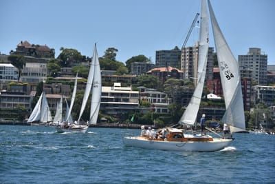 DSC_7482.JPG
