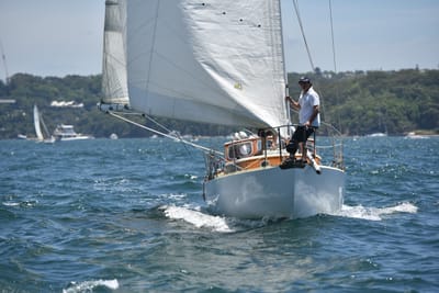 DSC_7499.JPG