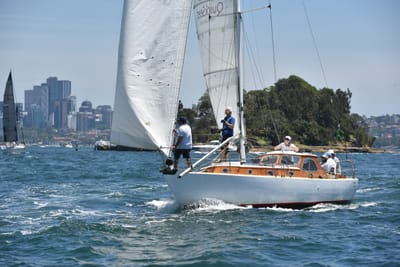 DSC_7500.JPG