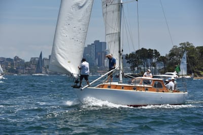 DSC_7501.JPG