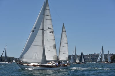 DSC_7502.JPG