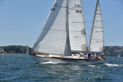 DSC_7503.JPG