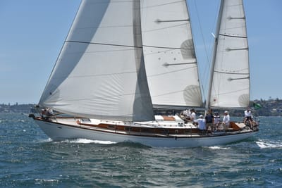 DSC_7504.JPG