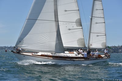 DSC_7505.JPG