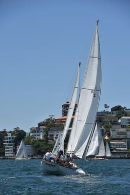 DSC_7506.JPG
