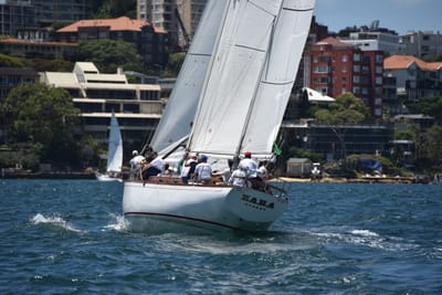 DSC_7507.JPG