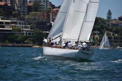 DSC_7509.JPG