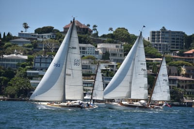 DSC_7511.JPG