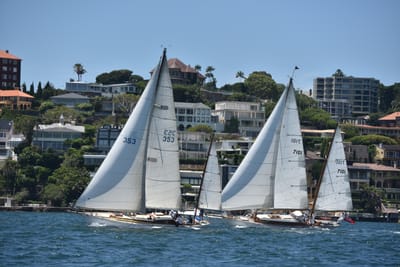 DSC_7512.JPG