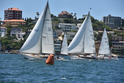 DSC_7513.JPG