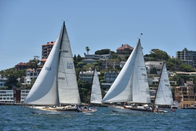 DSC_7514.JPG