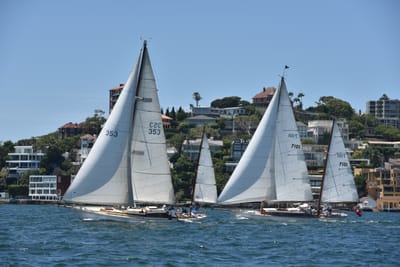 DSC_7515.JPG