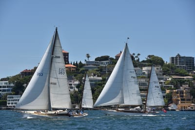 DSC_7516.JPG